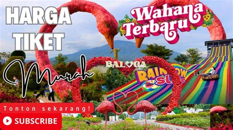 Wisata Tak Tergoyahkan di Malang: Keindahan dan Pesona Baloga yang Mengagumkan!